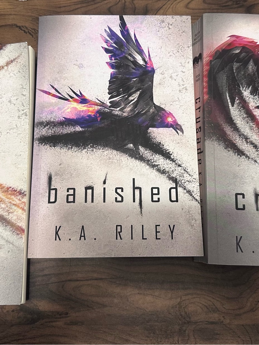 K.A. Riley Ravenshadow Trilogy Set Arise Banished Crusade YA Dystopian Books